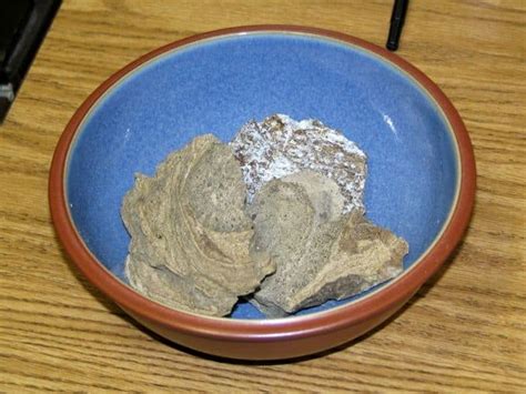 Explained: What is Ambergris and why is this ‘whale vomit’ so .